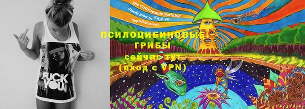 кристаллы Осинники