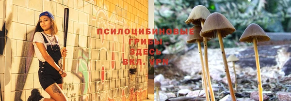 метадон Осташков