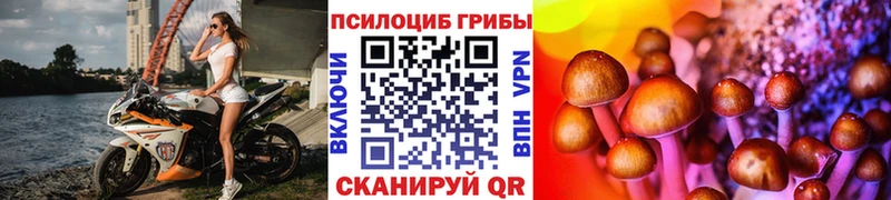 Псилоцибиновые грибы Psilocybine cubensis  Тейково 